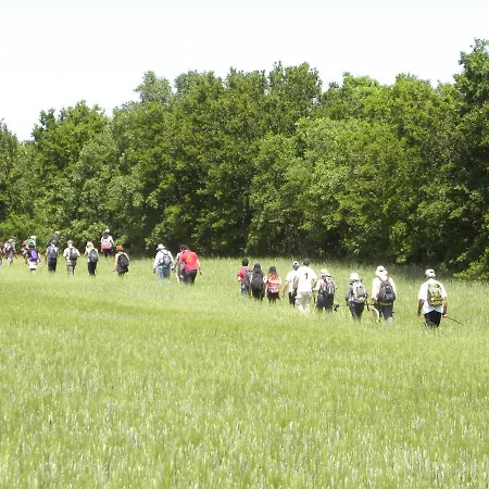 فندق مبيت وإفطار Casa Rossella